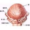 濱州專家講解:前列腺炎有哪些表現(xiàn)